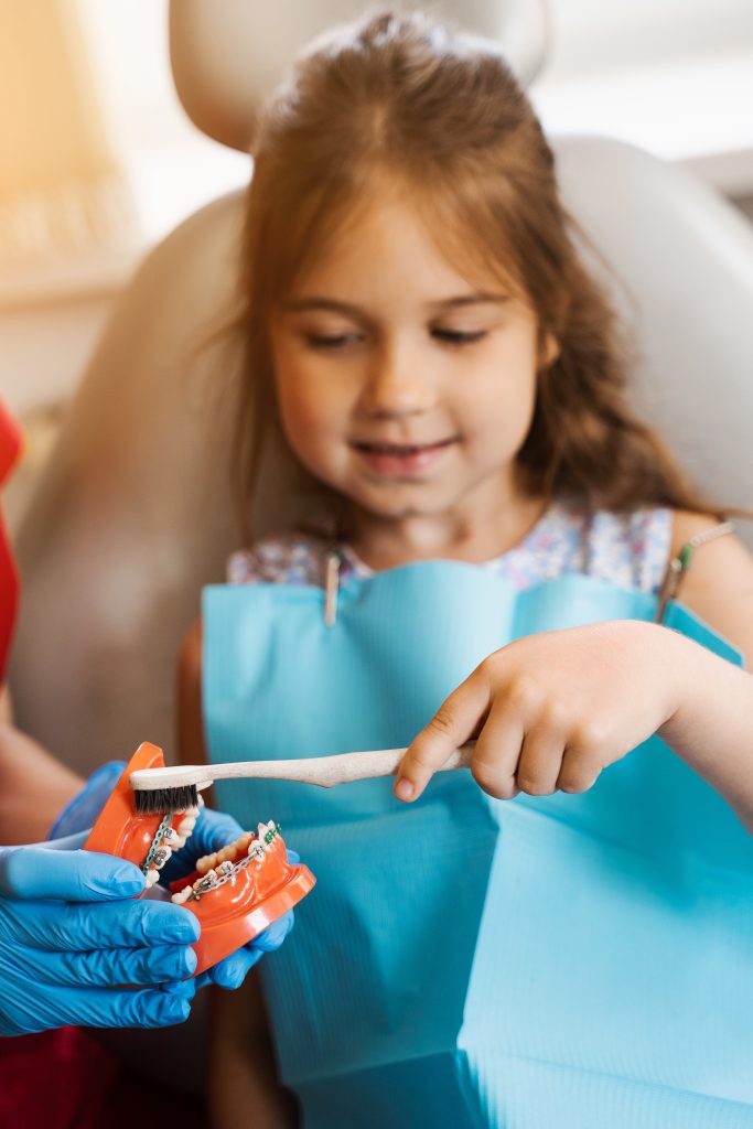 jaw anatomical model teeth brushing closeup pediatric dentist teaching oral hygiene lesson kids dentistry dentist shows child how properly use toothbrush brush teeth